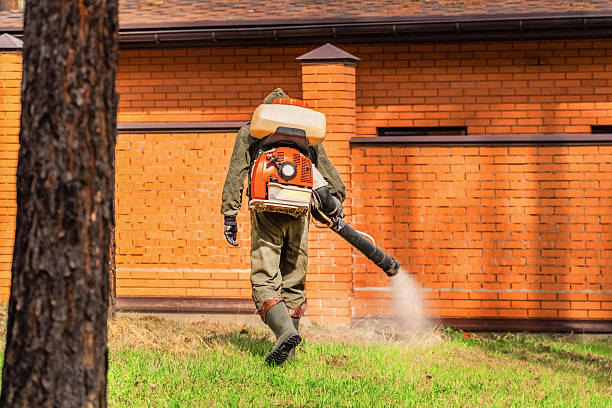 Trusted Rodent Control service in Port Salerno, FL - Nex Pest Control